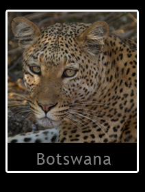 Botswana